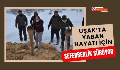 Uşak’ta Yaban Hayatı İçin Seferberlik Sürüyor