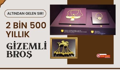 Altından Gelen Sır! 2 Bin 500 Yıllık Gizemli Broş