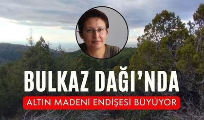 Bulkaz Dağı’nda Altın Madeni Endişesi Büyüyor