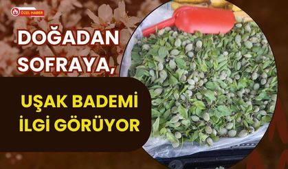 Doğadan Sofraya, Uşak Bademi İlgi Görüyor