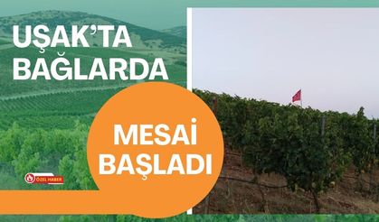 Uşak’ta Bağlarda Mesai Başladı: Budama ve Temizlik Dönemi Açıldı