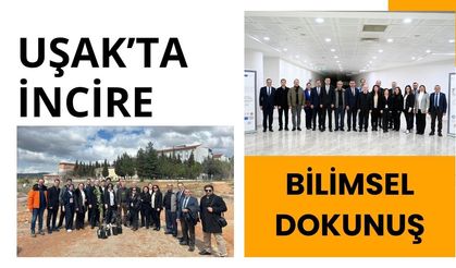 Uşak’ta İncire Bilimsel Dokunuş