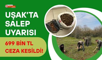 Uşak’ta Salep Uyarısı: 699 Bin TL Ceza Kesildi!