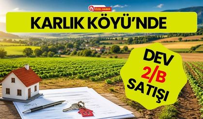 Karlık Köyü’nde Dev 2/B Satışı: Yaklaşık 180 Bin Metrekarelik Arazi İçin Başvuru Süreci Başladı
