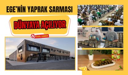 Ege’nin Yaprak Sarması Dünyaya Açılıyor: Uşaklı Firma İhracatta Dikkat Çekiyor