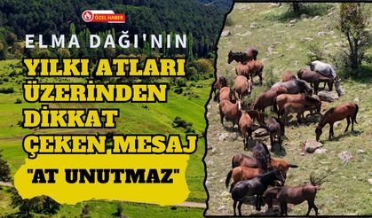 Elma Dağı'nın Yılkı Atları Üzerinden Dikkat Çeken Mesaj, "At Unutmaz"