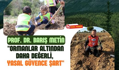 "Ormanlar Altından Daha Değerli, Yasal Güvence Şart"