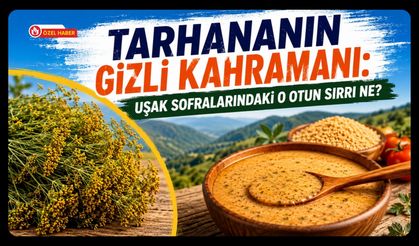 Tarhananın Gizli Kahramanı, Uşak Sofralarındaki O Otun Sırrı Ne?
