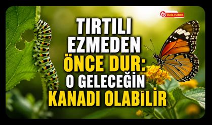 Tırtılı Ezmeden Önce Bir Kez Daha Düşünün! Uzmanlardan Uşaklılara Doğa Uyarısı