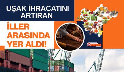 Uşak İhracatını Artıran İller Arasında Yer Aldı! İlk 5 Ayda 166 Milyon Dolarlık Dış Satım