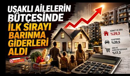 Uşaklı Ailelerin Bütçesinde İlk Sırayı Barınma Giderleri Aldı