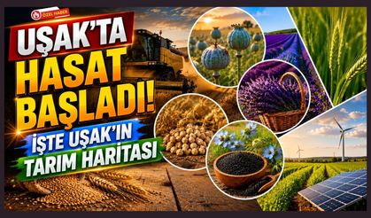 Uşak'ta Hasat Başladı! İşte Uşak'ın Tarım Haritası