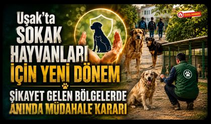 Uşak'ta Sokak Hayvanları İçin Yeni Dönem, Şikayet Gelen Bölgelerde Anında Müdahale Kararı