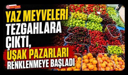Yaz Meyveleri Tezgahlara Çıktı, Uşak Pazarları Renklenmeye Başladı