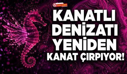 Kanatlı Denizatı Yeniden Kanat Çırpıyor!