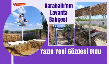 Karahallı'nın Lavanta Bahçesi Yazın Yeni Gözdesi Oldu