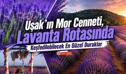 Uşak'ın Mor Cenneti, Lavanta Rotasında Keşfedilecek En Güzel Duraklar