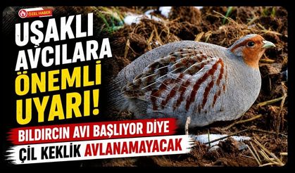 Uşaklı Avcılara Önemli Uyarı! Bıldırcın Avı Başlıyor Diye Çil Keklik Avlanamayacak