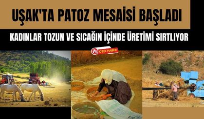 Uşak'ta Patoz Mesaisi Başladı, Kadınlar Tozun ve Sıcağın İçinde Üretimi Sırtlıyor