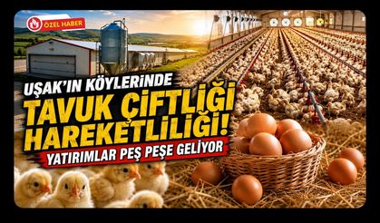 Uşak’ın Köylerinde Tavuk Çiftliği Hareketliliği, Yatırımlar Peş Peşe Geliyor