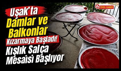 Uşak’ta Damlar ve Balkonlar Kızarmaya Başladı! Kışlık Salça Mesaisi Başlıyor