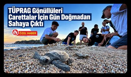 TÜPRAG Gönüllüleri Carettalar İçin Gün Doğmadan Sahaya Çıktı