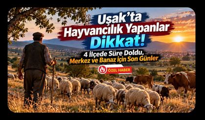 Uşak’ta Hayvancılık Yapanlar Dikkat! 4 İlçede Süre Doldu, Merkez ve Banaz İçin Son Günler