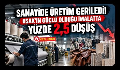 Sanayide Üretim Geriledi! Uşak'ın Güçlü Olduğu İmalatta Yüzde 2,5 Düşüş
