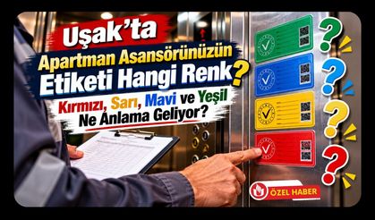 Uşak’ta Apartman Asansörünüzün Etiketi Hangi Renk? Kırmızı, Sarı, Mavi ve Yeşil Ne Anlama Geliyor?