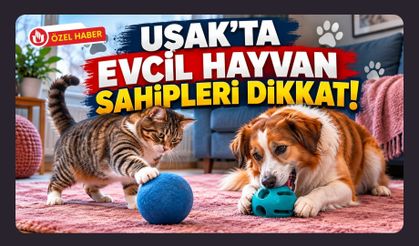 Uşak’ta Evcil Hayvan Sahipleri Dikkat! Soğuk Günlerde Oyun İhtiyacı Bitmiyor