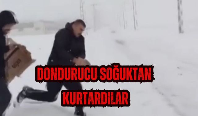 Dondurucu soğuktan polis kurtardı