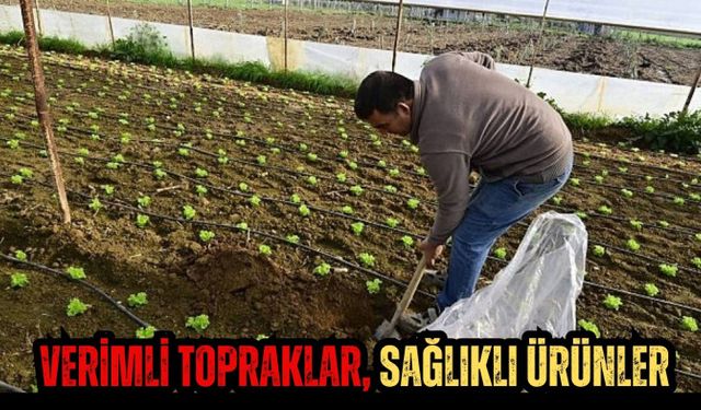 Hümik Asit Uygulamasıyla Verimli Topraklar, Sağlıklı Ürünler