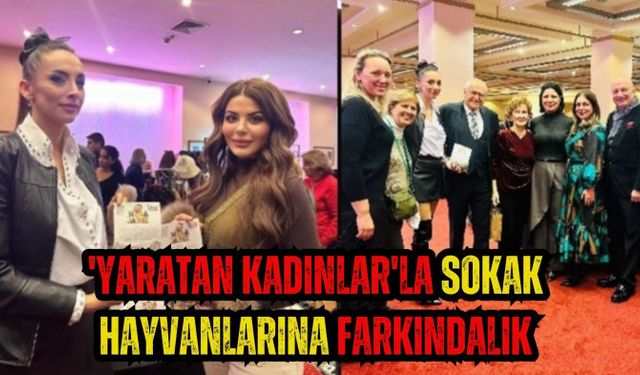 'Yaratan Kadınlar'la sokak hayvanlarına farkındalık