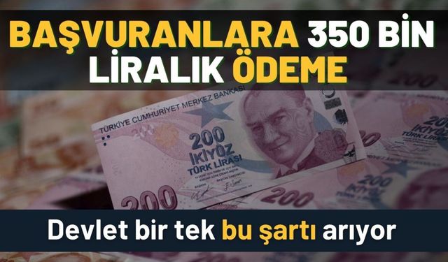 Hızla başvuran alacak: Devletten bu şartı taşıyan herkese 350 bin lira ödeme