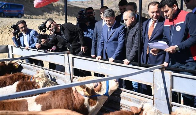 Türkiye 2028’den İtibaren Kırmızı Et İthal Etmeyecek