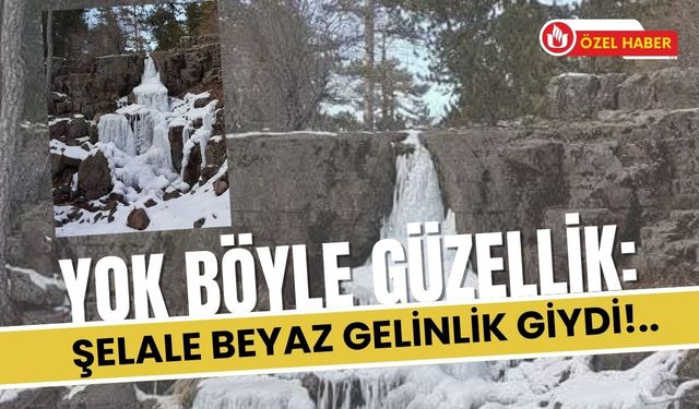 YOK BÖYLE GÜZELLİK: ŞELALE BEYAZ GELİNLİK GİYDİ!..