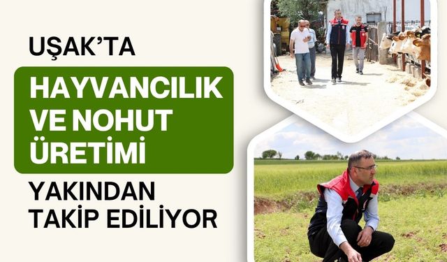 Uşak’ta Hayvancılık ve Nohut Üretimi Yakından Takip Ediliyor
