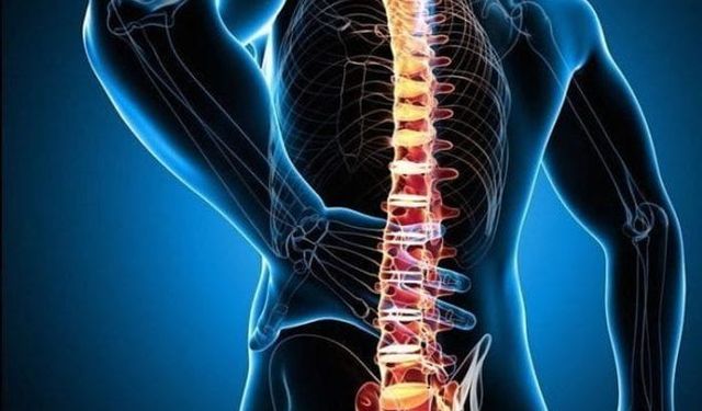 Omurilikten Parkinson’a Uzanan Yolculukta Yeni Umutlar