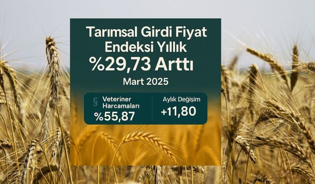 Tarımsal Girdi Fiyat Endeksi Yükselişte