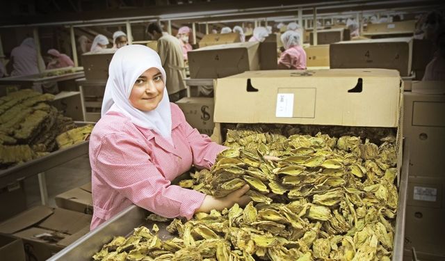 Türk çiftçisi üretiyor, ihracatçı dünyanın dört bir tarafına ihraç ediyor