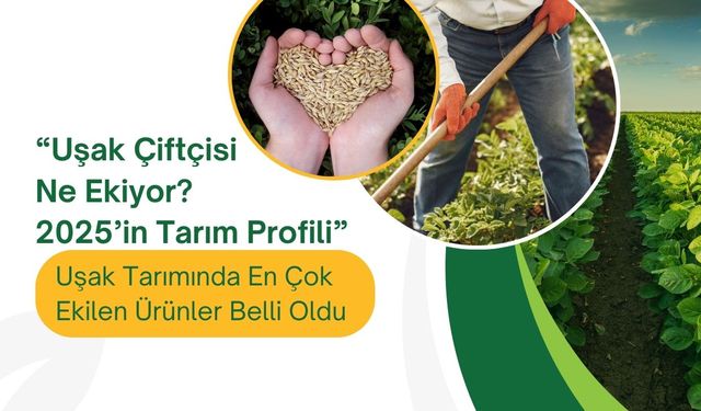 “Uşak Çiftçisi Ne Ekiyor? 2025’in Tarım Profili”