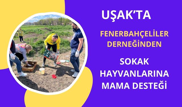 Uşak Fenerbahçeliler Derneği’nden Sokak Hayvanlarına Anlamlı Destek