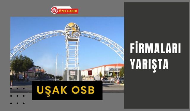 Uşak OSB Firmaları Yarışta