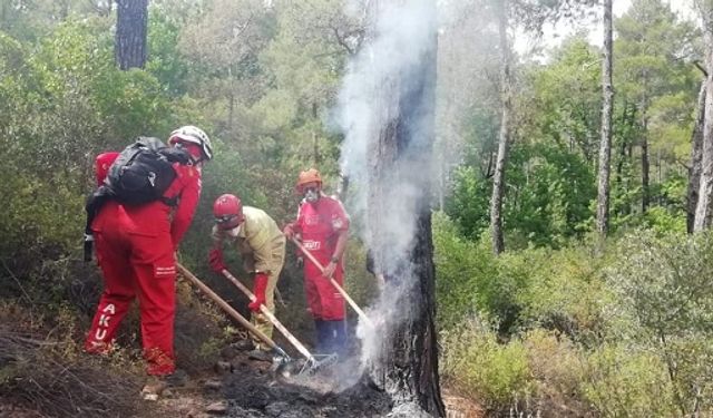 AKUT’tan Hayati Çağrı: Orman Yangınlarına Karşı Hazır mıyız?