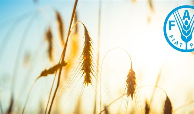 TÜRKİYE, FAO KONSEY ÜYELİĞİNE SEÇİLDİ!