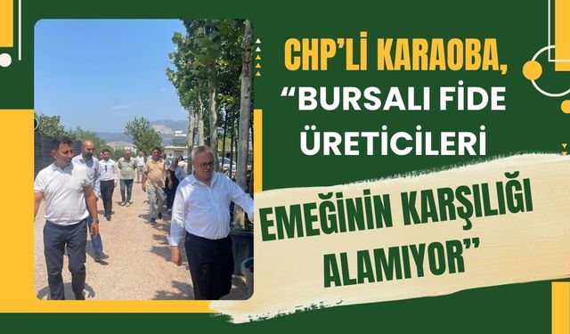 CHP’li Karaoba, " Fide Üreticileri Emeğinin Karşılığını Alamıyor”