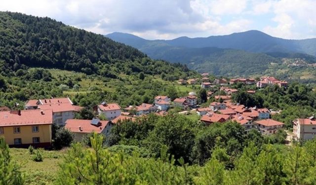 Yaşam