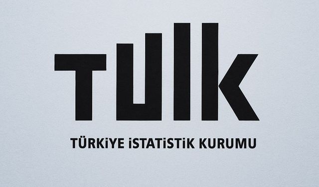 Yurt İçi Üretici Fiyat Endeksi Temmuz'da Yüzde 24,19 Arttı
