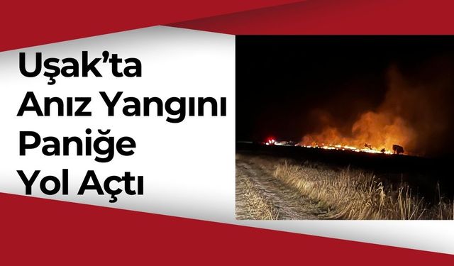 Uşak’ta Gece Yarısı Anız Yangını Paniğe Yol Açtı