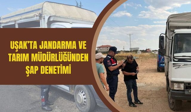 Uşak’ta Jandarma ve Tarım Müdürlüğünden Şap Denetimi